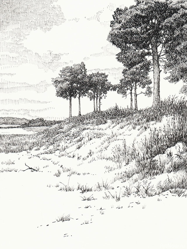 �������. ������� ������. ���������� ���