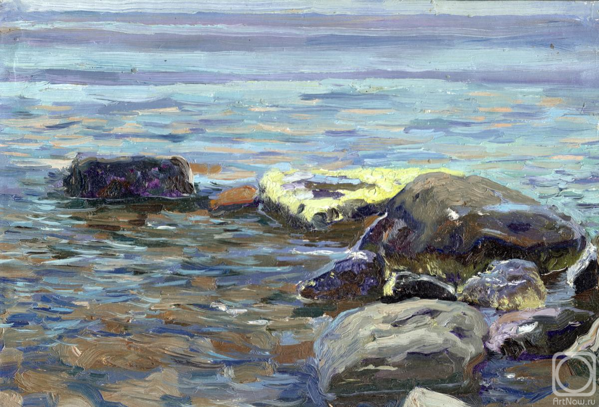 Kozhin Simon. Stones by the sea
