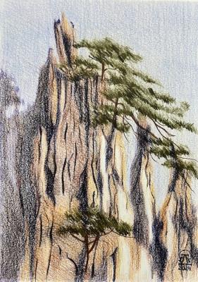 ������� ������ �� �������