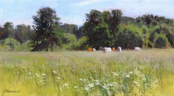 July (A Herd Of Cows In A Meadow). Zhilov Andrey