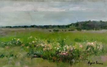 ����. ĸ��� ������