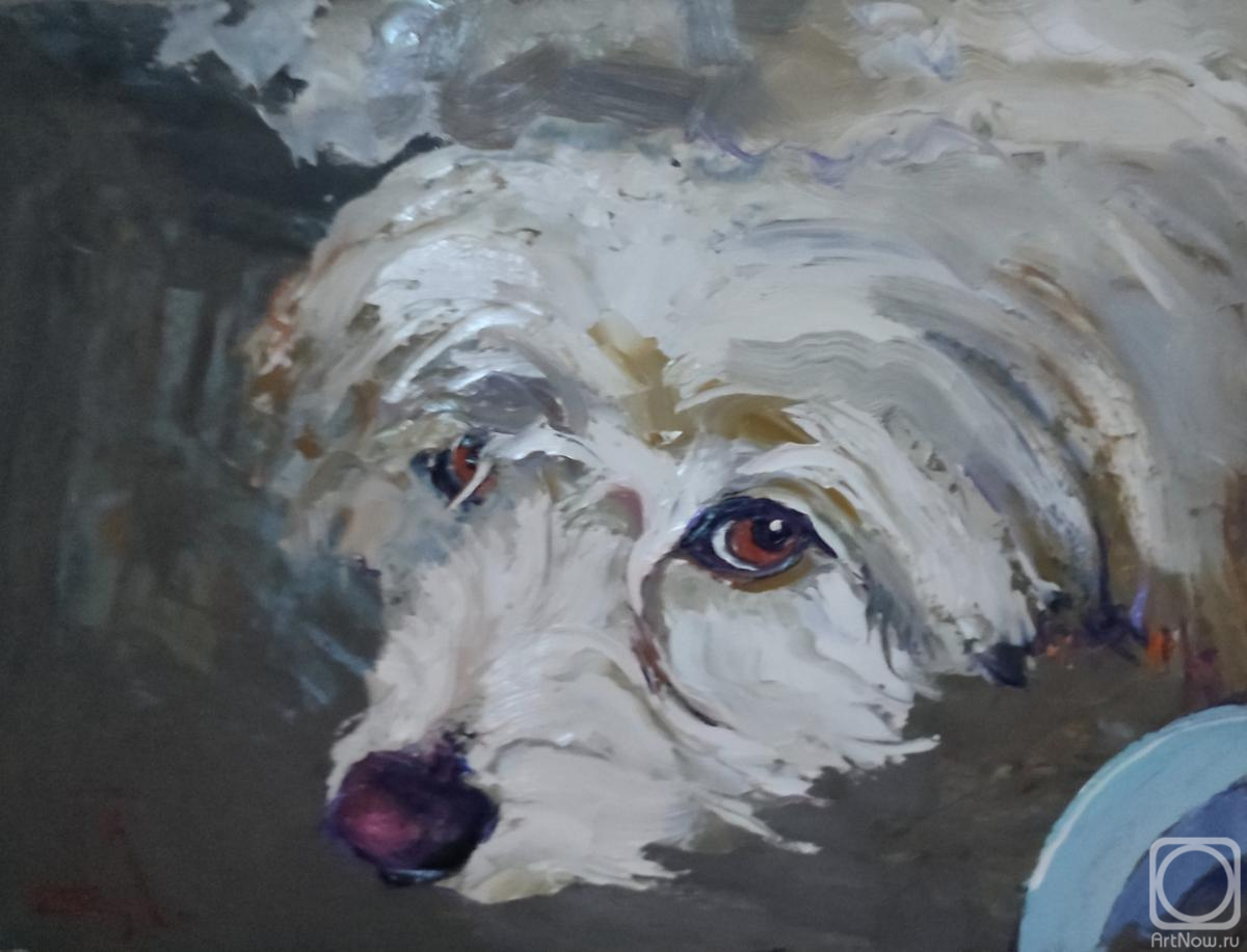 �������. ���������� �������. ������ ����