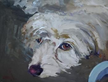 ������ ����. ���������� �������