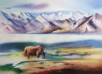 �� �� ���� ����� � ���. �������� ��������