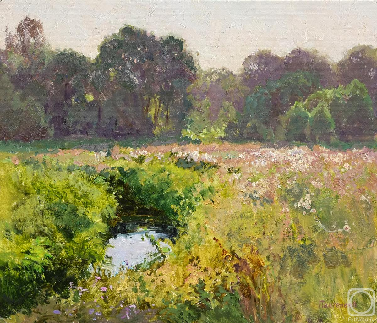 ������� ������ �� ������. ��������� ������. ������ ������