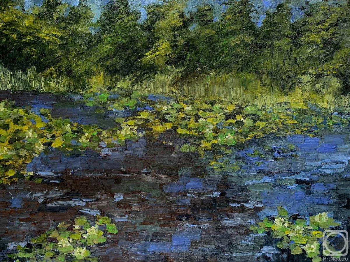 ������� ������ �� ������. �������� ���������. ������ �������