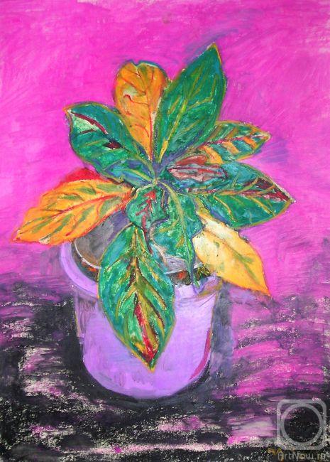 Adamovich Janna. Plant