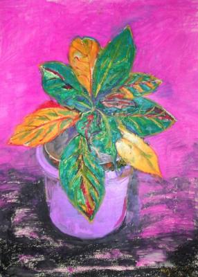 ��������. �������� �����