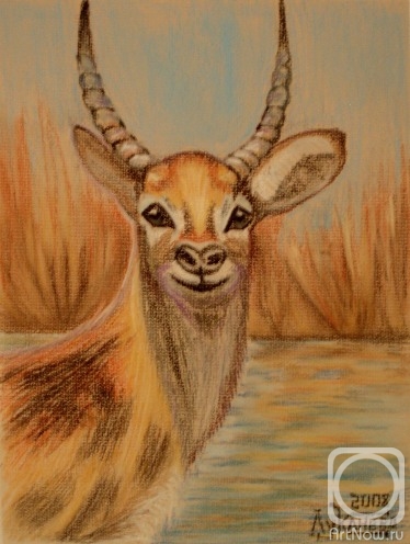 �������. �������� ������. ����