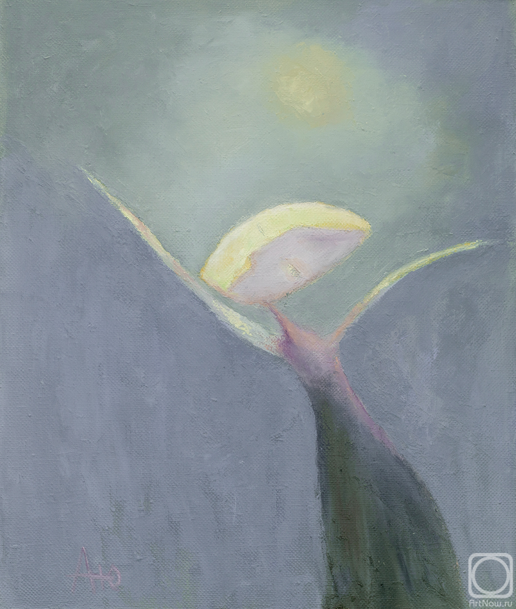 ������� ������ �� ������. ���������� ����. ������ �������� �����