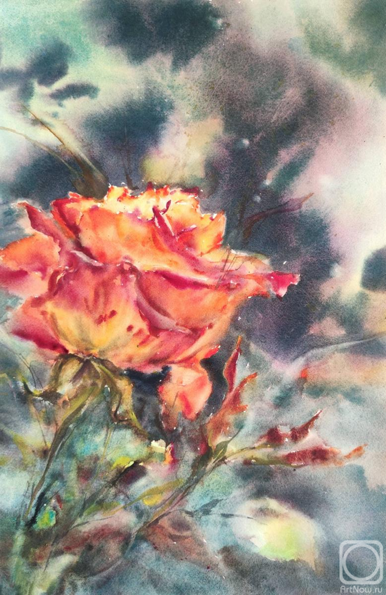 Krivoruchenko Elena. Orange Rose