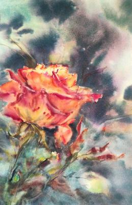 ������� ���������� ����