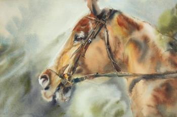 ������� �����