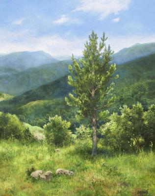 ������� �������� ����