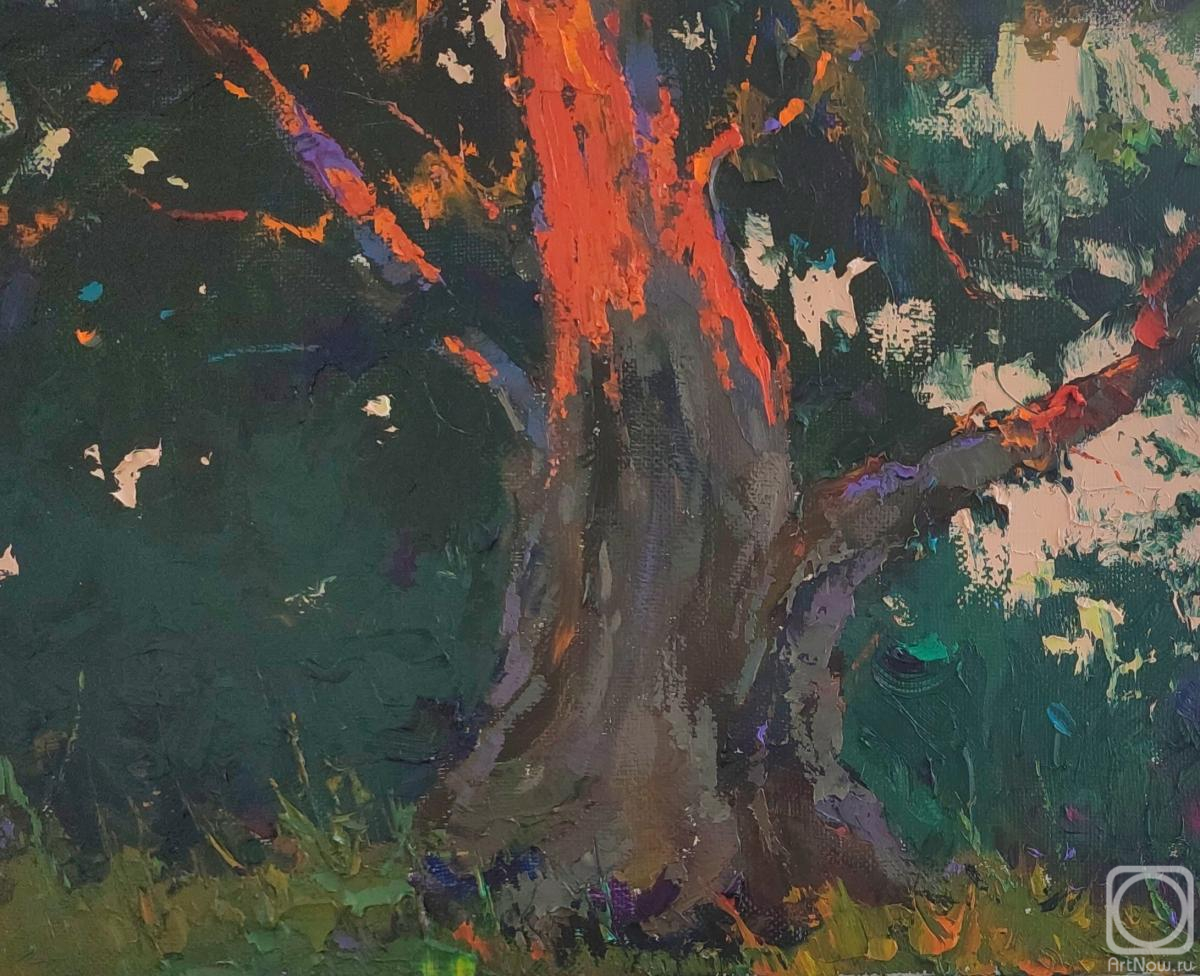 ������� ������ �� ������. ���������� �������. �����������