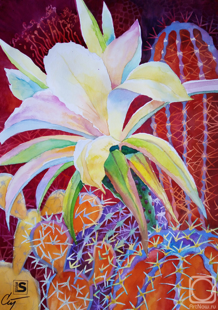 �������. ������� ������. ������� ������