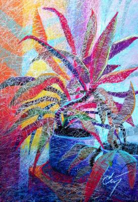 Cordyline. Stuliev Leonid