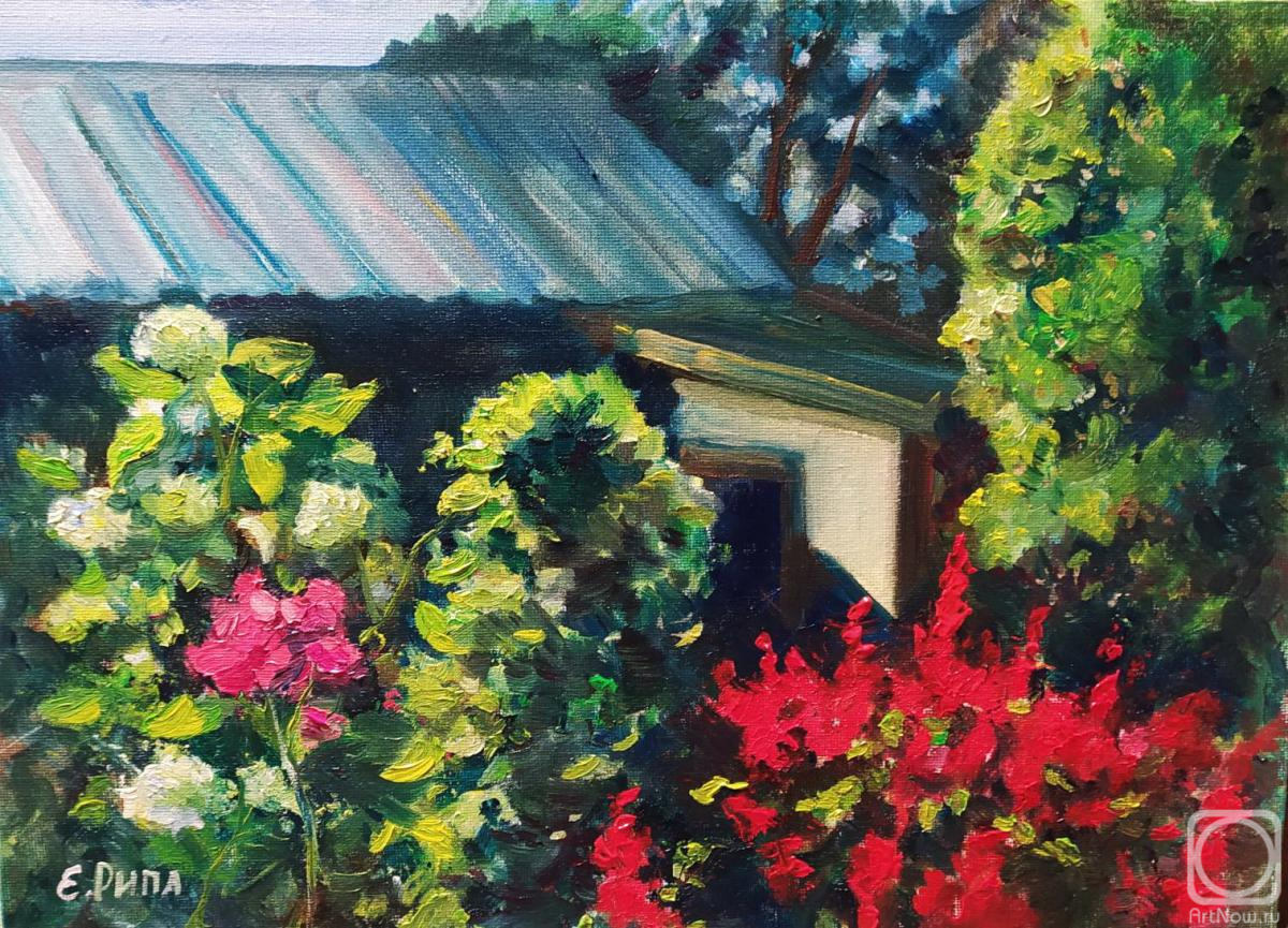 ������� ������ �� ������. ���� �����. ��������� ���� ����