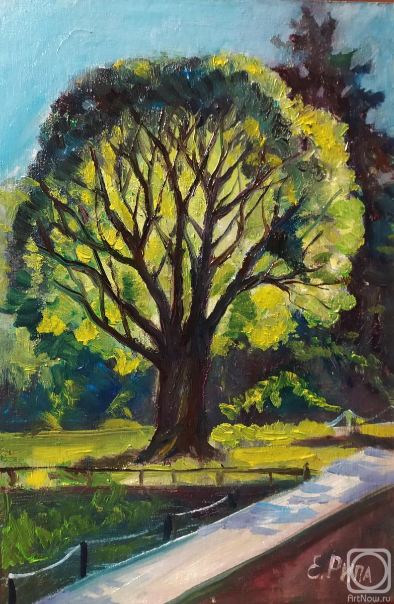 �������. ���� �����. ��������� ������