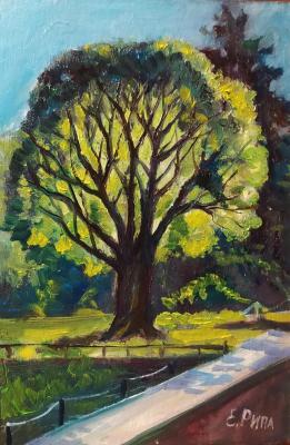 ��������� ������. ���� �����