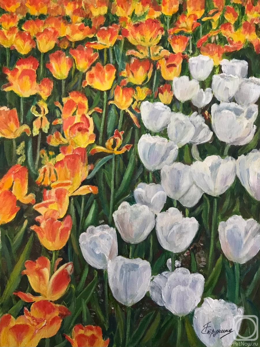 ������� ������ �� ������. �������� ������. ��������