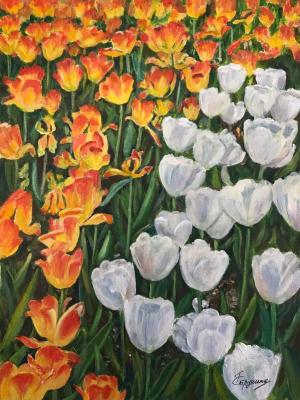 ������� ����������