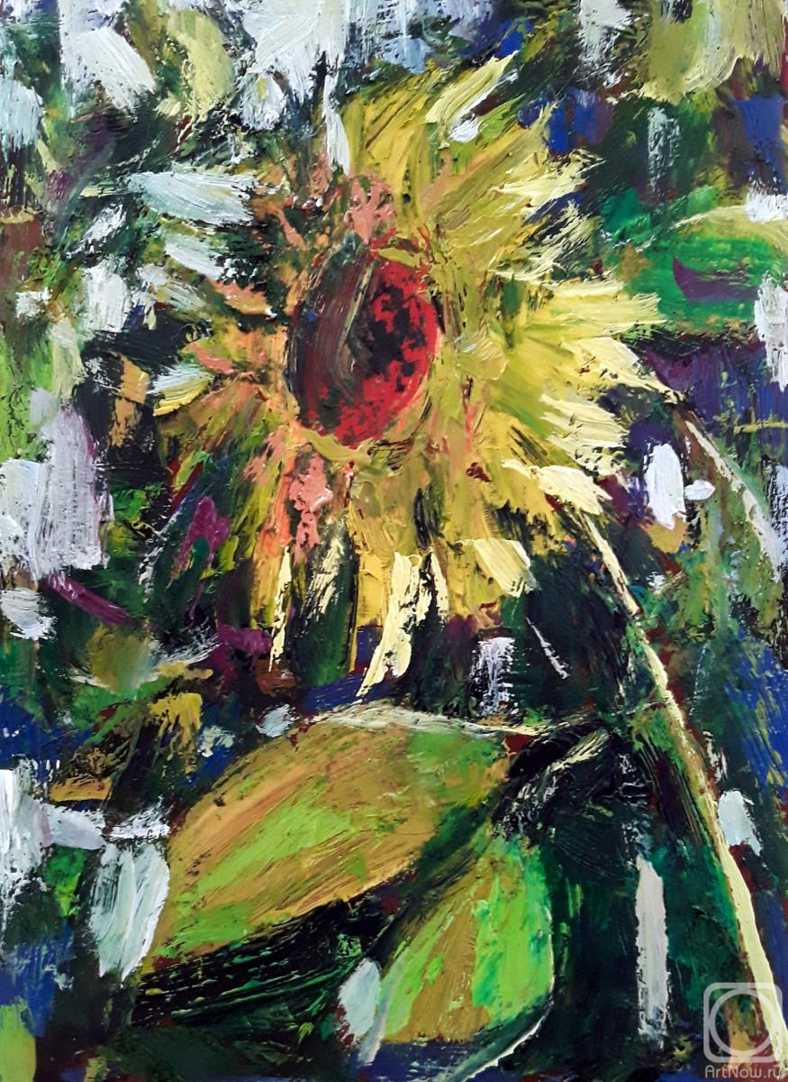 �������. ����� ���������. �����������