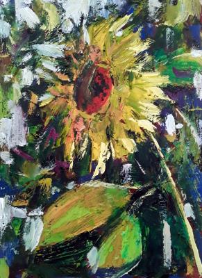 ������� ������������