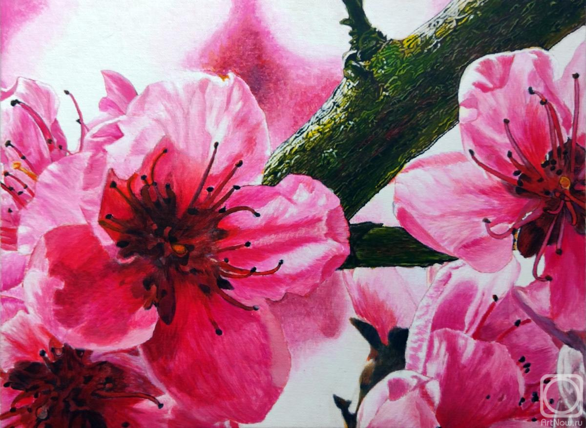 �������. ������� �������. ������ ������