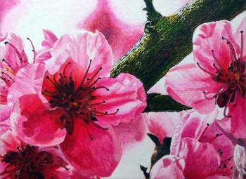 ������� ������� ������