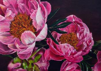 �����. ������� �������