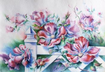 �����. �������� ��������