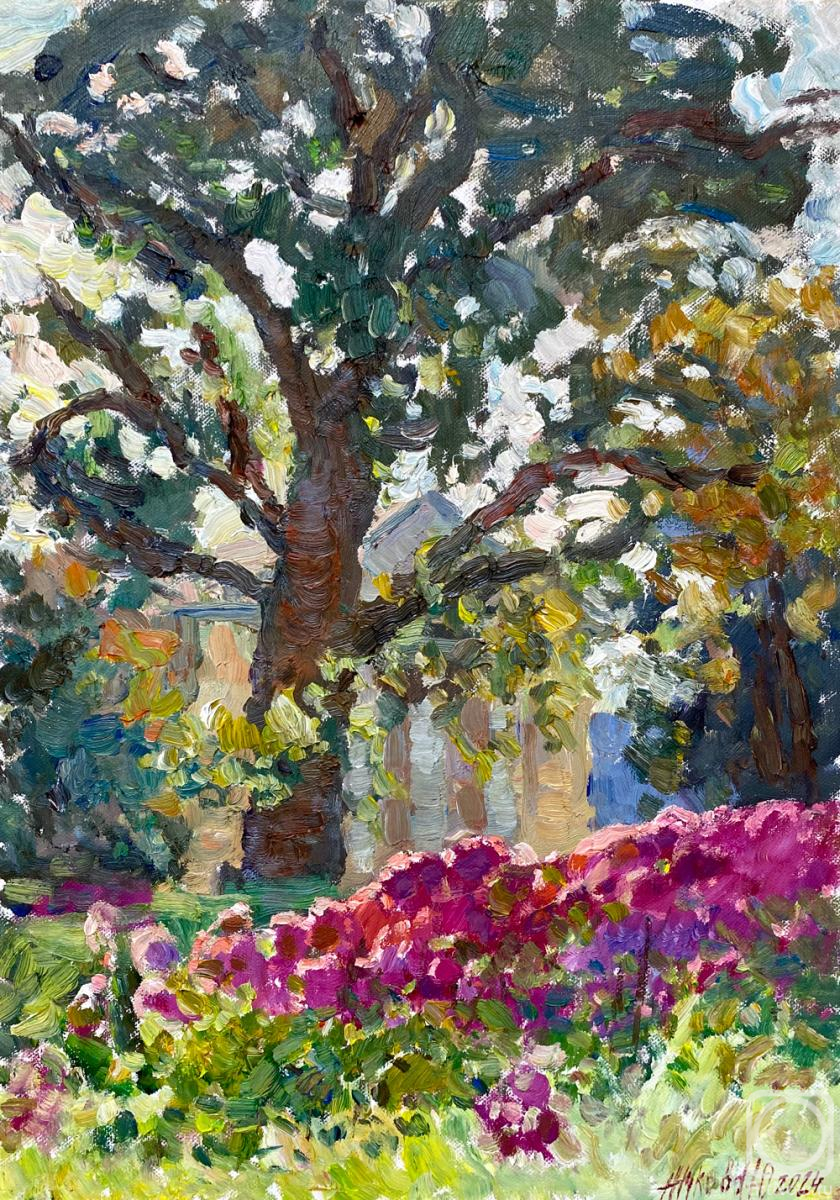 ������� ������ �� ������. ������ ����. ������ � ���������