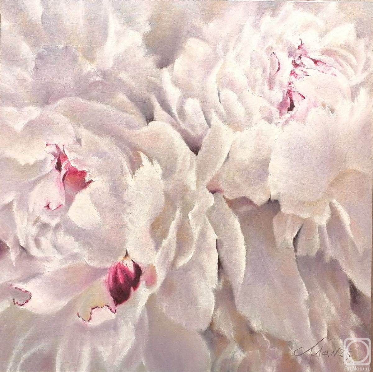 ������� ������ �� ������. ����� ���������. ����� �����