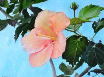 �������� - "��������� ����" (������� ��������). ���� ������