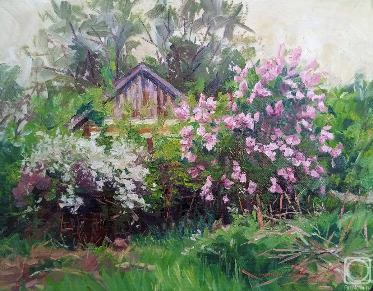 �������. ������� ��������. ������� ����