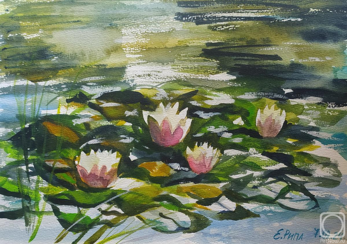 �������. ���� �����. �����