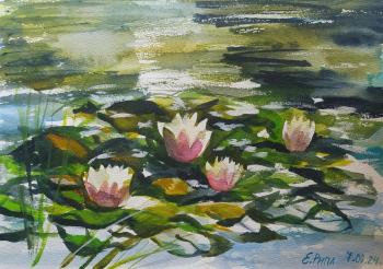 Lily (Botanical Watercolor). Ripa Elena