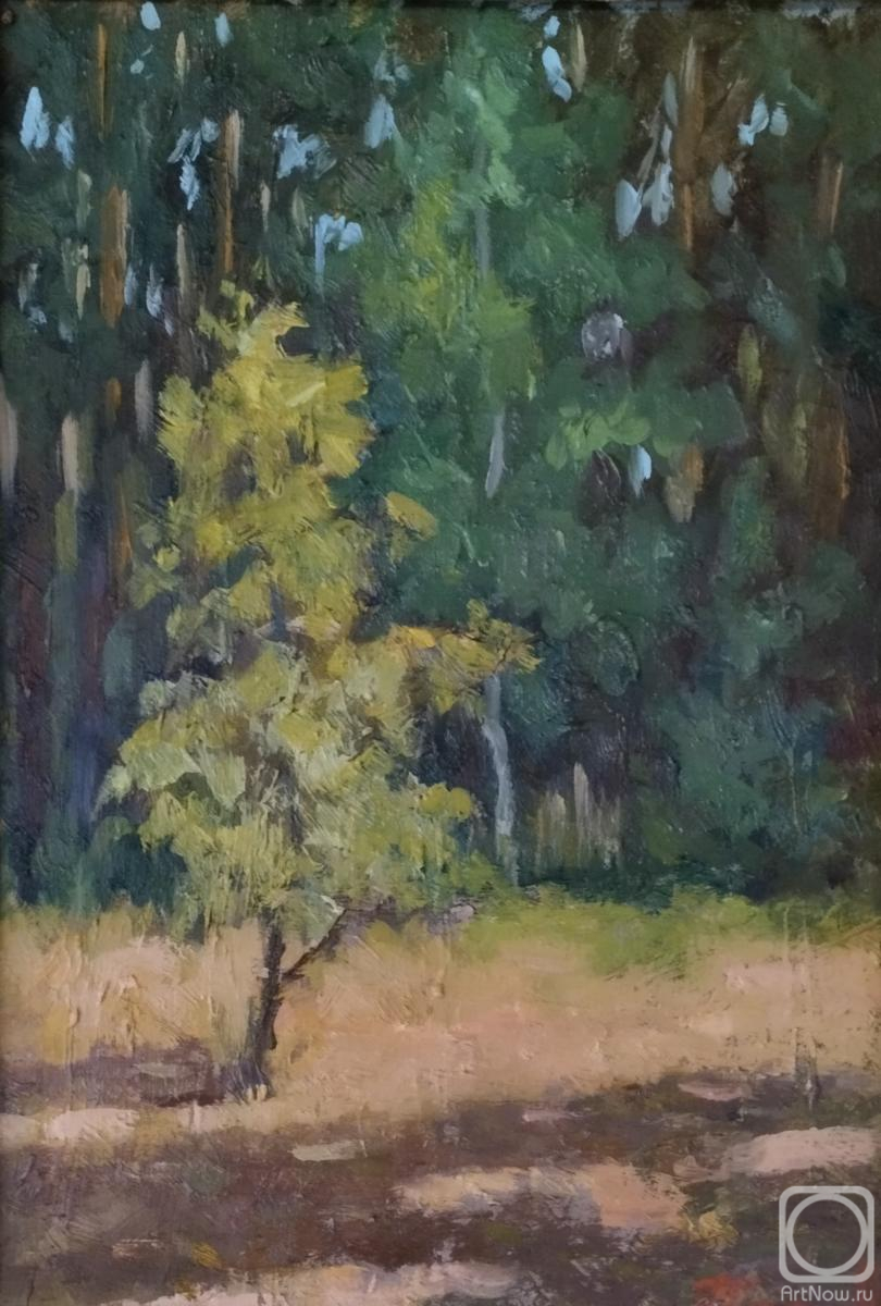 ������� ������ �� ������. ����� ������. ������ � ����