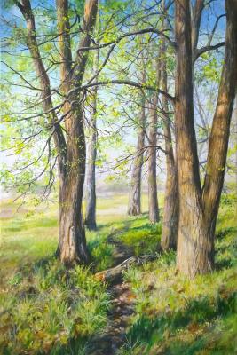 May in a linden grove