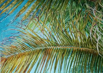 ��� ��������. ������ ��������