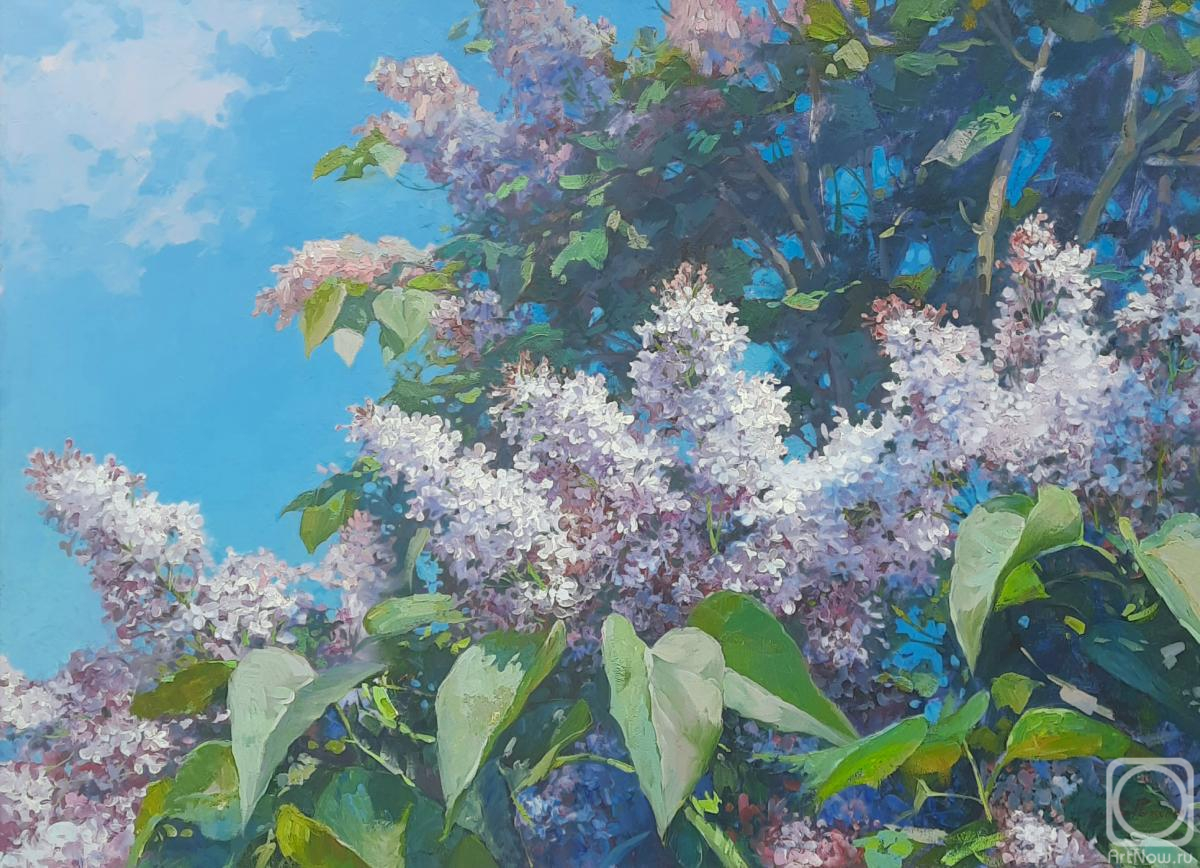 ������� ������ �� ������. ������� ��������. ������