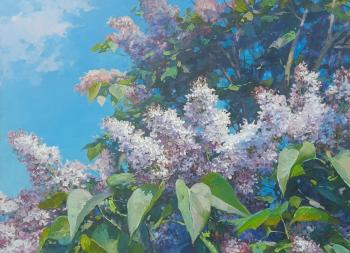 ������� ��������