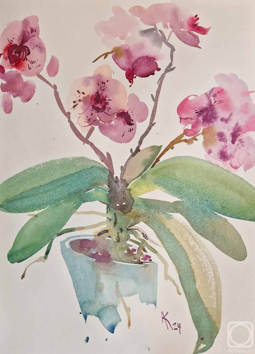 �������. ���������� ��������. ������ �������