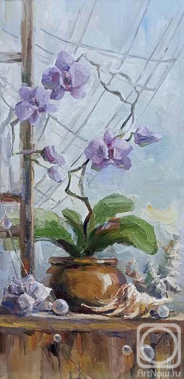 ������� ������ �� ������. ���������� �����. ������� ����������