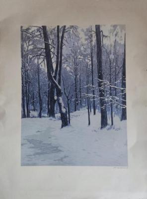 Winter sunset. Plutalov Alexsander