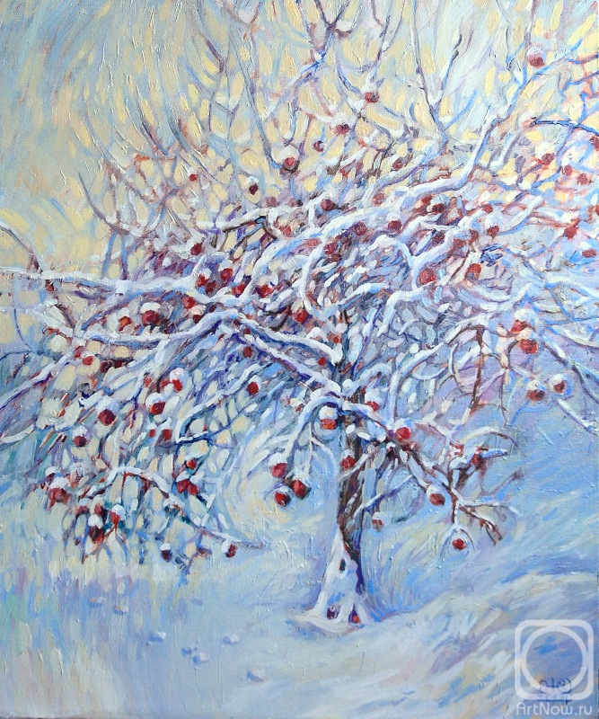 ������� ������ �� ������. ��������� ����. ������ ������