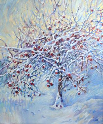 Winter apple tree. Zhukovskaya Yuliya