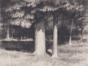 ������� ������� ����