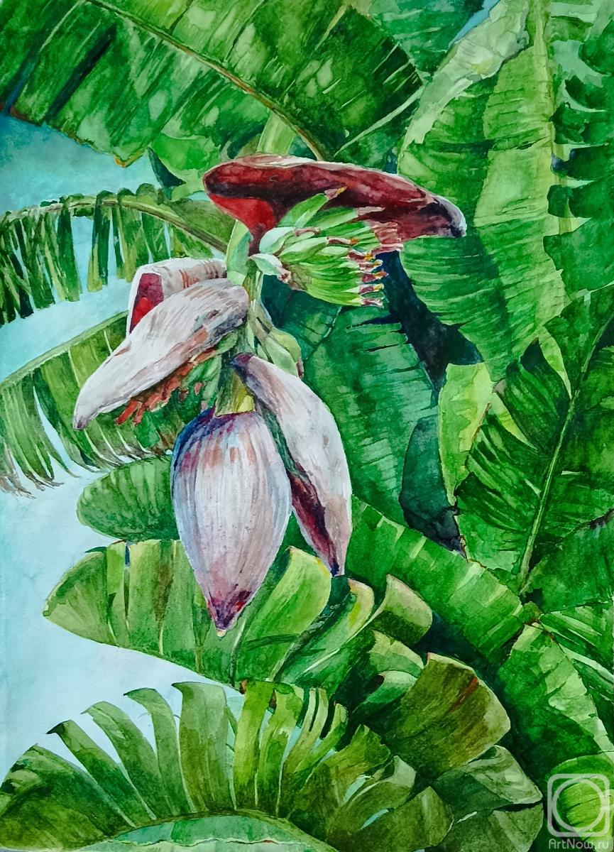 Levina Svetlana. Banana flower
